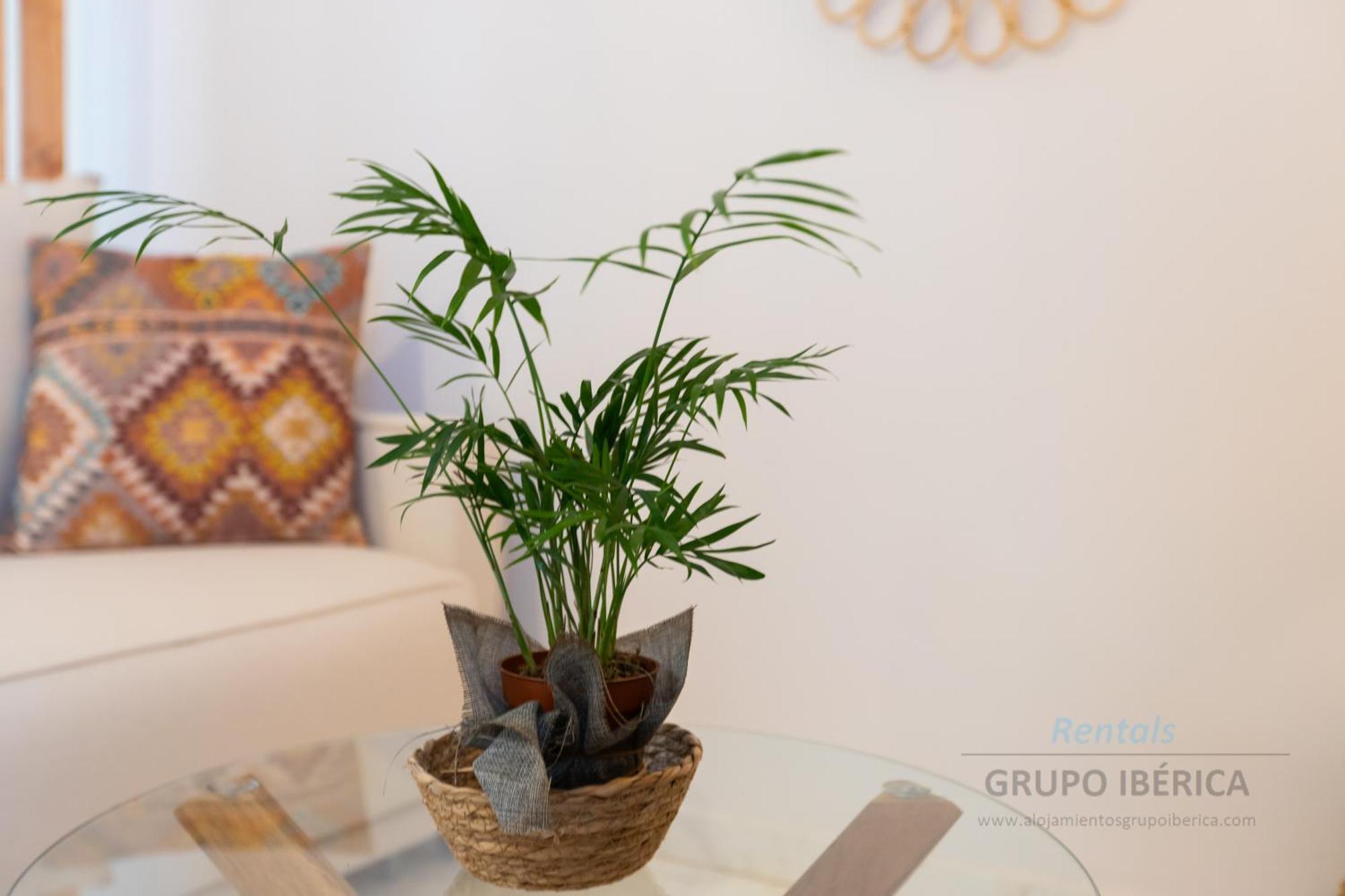 Apartment Loma Del Colegial توريمولينوس المظهر الخارجي الصورة